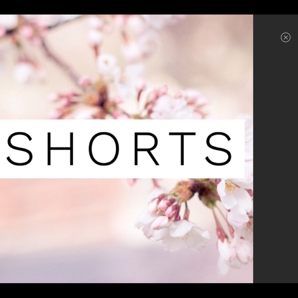 Shorts - Picture 3 of 3